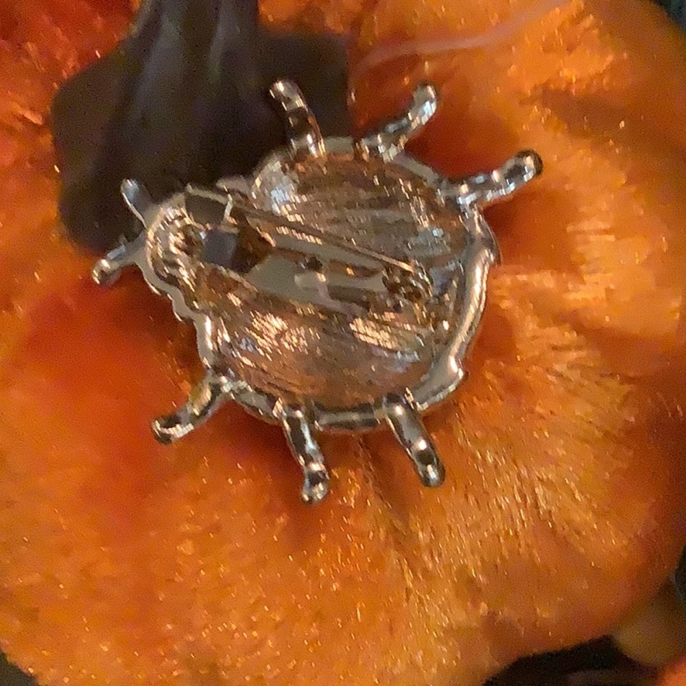 Beetle Bug π Pin. - Picture 2 of 4